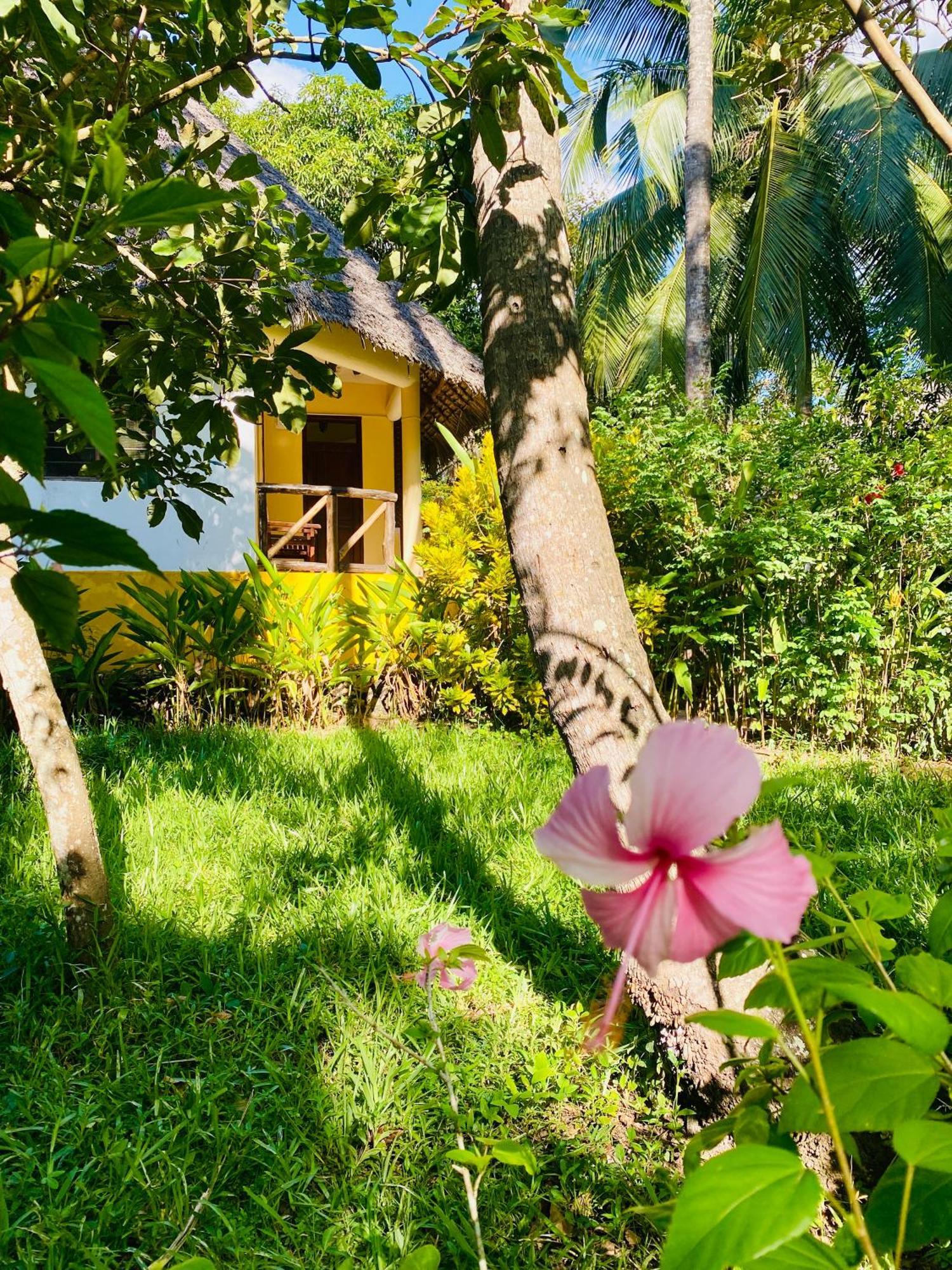 Mangrove Lodge Zanzibar Luaran gambar