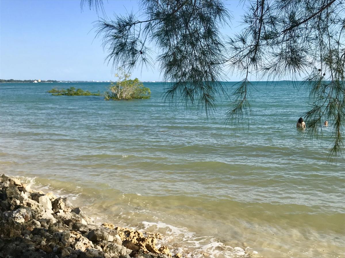 Mangrove Lodge Zanzibar Luaran gambar