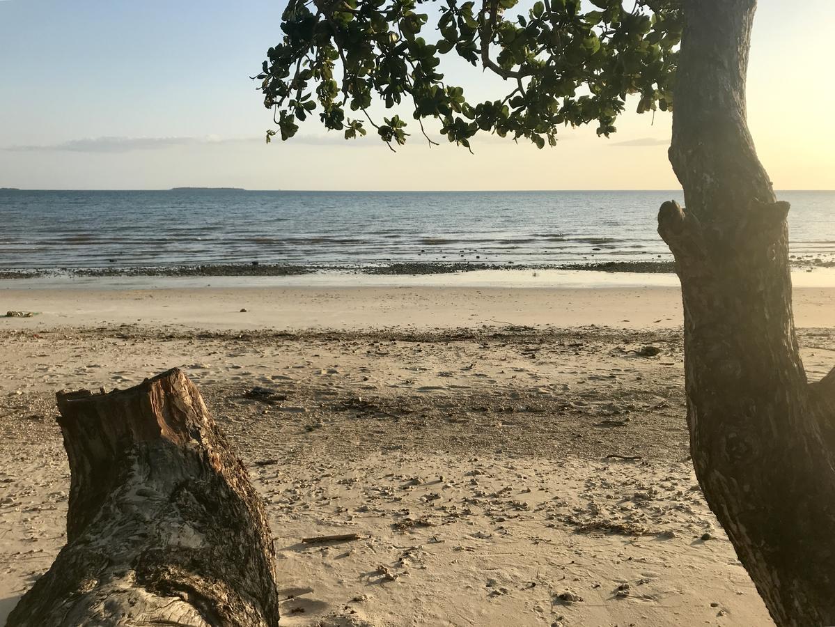 Mangrove Lodge Zanzibar Luaran gambar